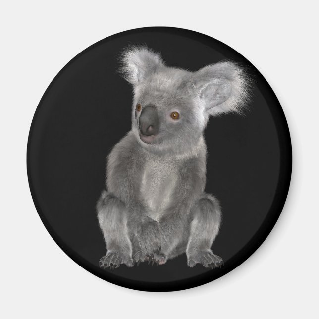 Koala Bear Magnet (Front)