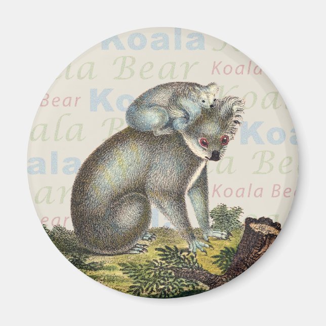 Koala Bear Magnet (Front)