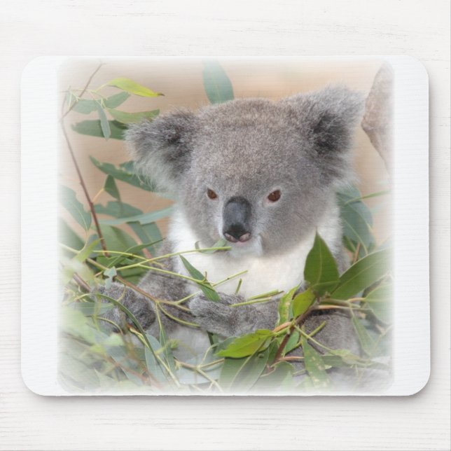 Koala Bear Mouse Pad (Front)