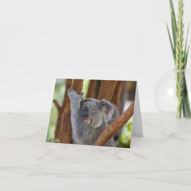 Koala Bear Notecard (Front)