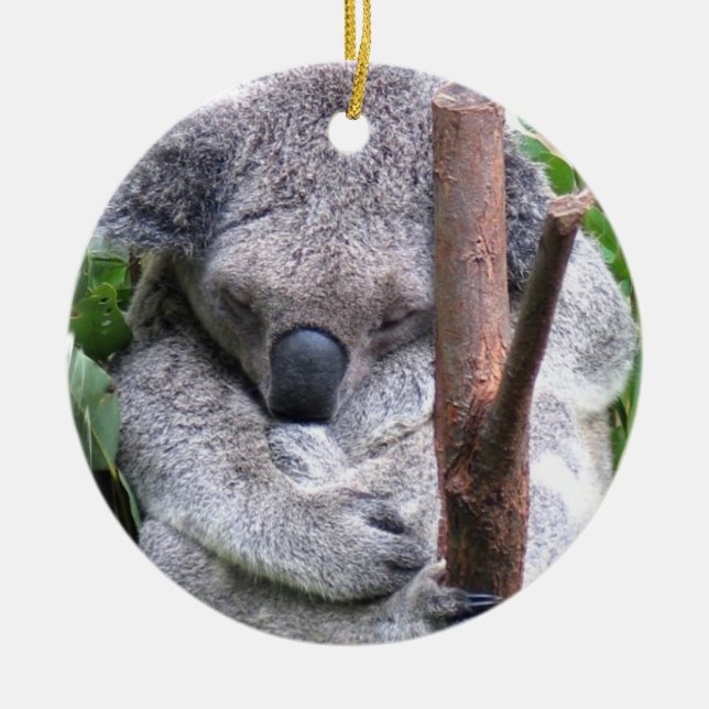Koala Bear Ornament (Front)