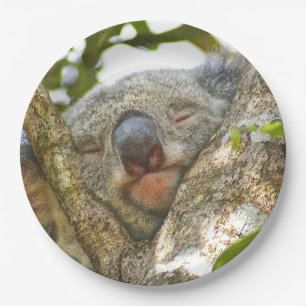 Koala Bear Paper Plate