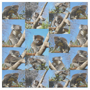 Koala Bear Photo Collage, Fabric
