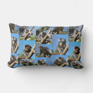 Koala Bear Photo Collage, Lumbar Cushion
