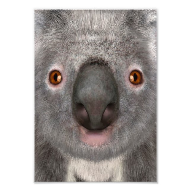 Koala Bear Photo Print (Front)