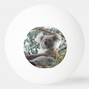 Koala Bear Ping Pong Ball