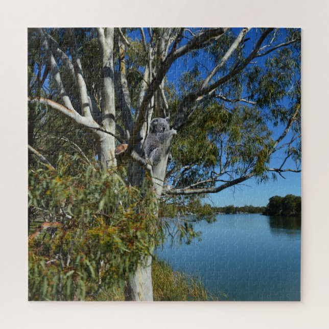 Koala Bear Sleeping In Gum Tree, Jigsaw Puzzle (Vertical)