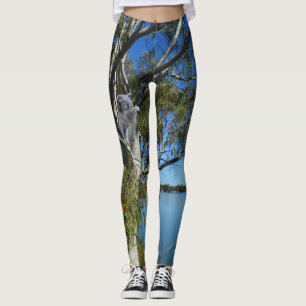 Koala Bear Sleeping In Gum Tree, Leggings