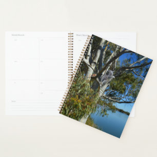 Koala Bear Sleeping In Gum Tree, Planner