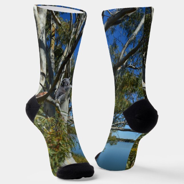 Koala Bear Sleeping In Gum Tree, Socks (Angled)