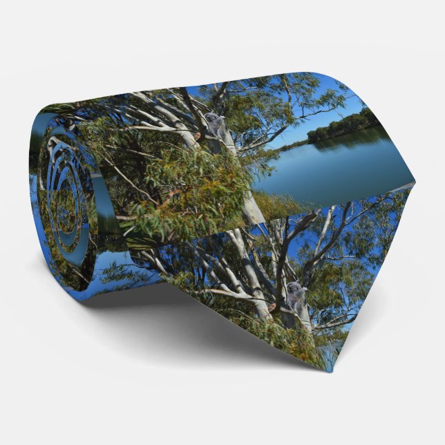 Koala Bear Sleeping In Gum Tree, Tie (Rolled)