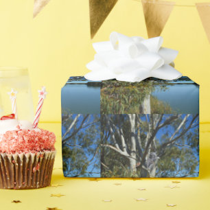 Koala Bear Sleeping In Gum Tree, Wrapping Paper