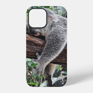 KOALA BEAR SLEEPING ON TREE iPhone 12 CASE