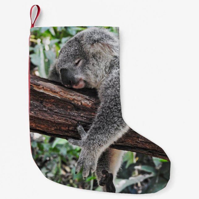 KOALA BEAR SLEEPING ON TREE SMALL CHRISTMAS STOCKING (Front)