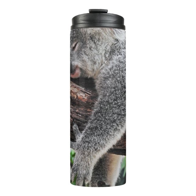 KOALA BEAR SLEEPING ON TREE THERMAL TUMBLER (Front)
