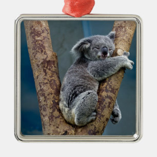 Koala Bear Sleeps Hugging A Tree Metal Tree Decoration