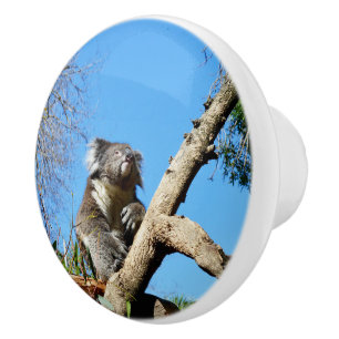 Koala Bear The Meaning Of Life, Ceramic Knob