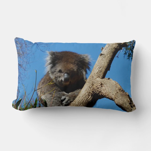 Koala Bear The Tree Whisperer, Lumbar Cushion (Front)