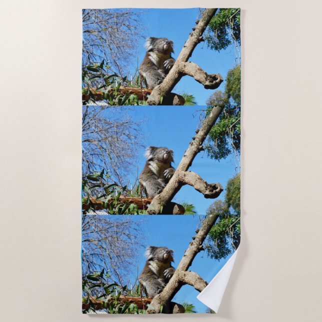 Koala Bear Time To Reflect On Life,  Beach Towel (Front)