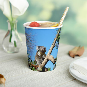 Koala Bear Time To Reflect On Life, Paper Cups