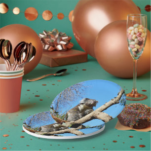 Koala Bear Time To Reflect On Life, Paper Plate