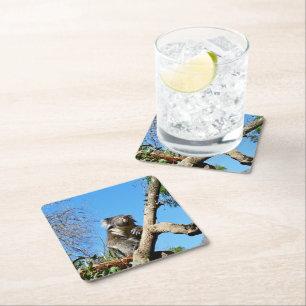 Koala Bear Time To Reflect On Life, Square Paper Coaster