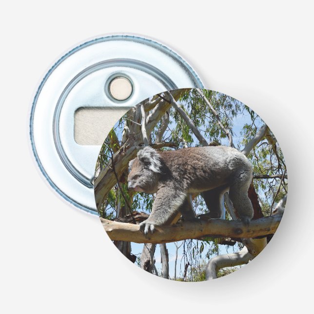 Koala Bear Walking On Tree Branch, Bottle Opener (Front)