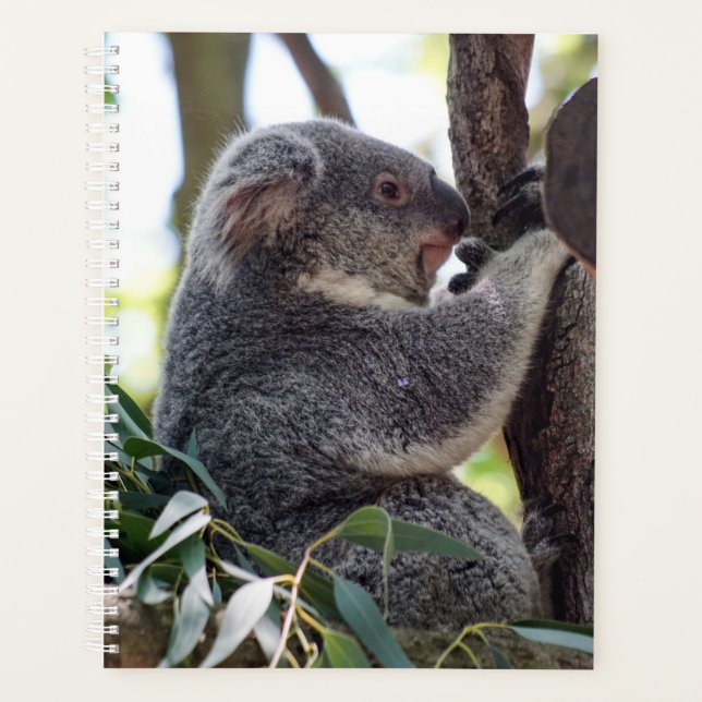 Koala Bear Weekly/Monthly Planner (Front)