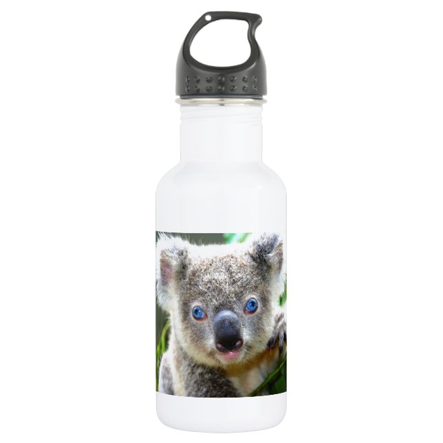 Koala Bears 532 Ml Water Bottle (Front)