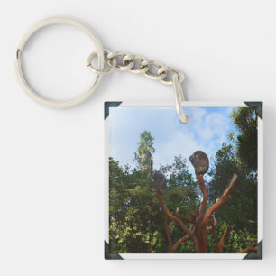 Koala Bears Asleep In Trees, Key Ring