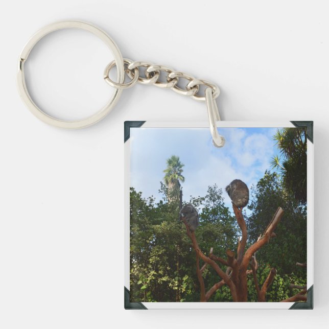 Koala Bears Asleep In Trees, Key Ring (Front)