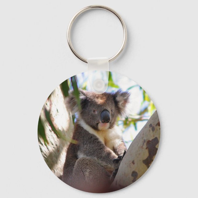 Koala Bears Aussi Outback Destiny Nature Key Ring (Front)
