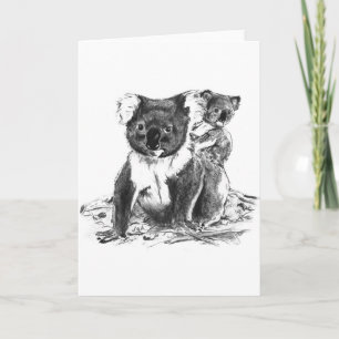 koala bears card