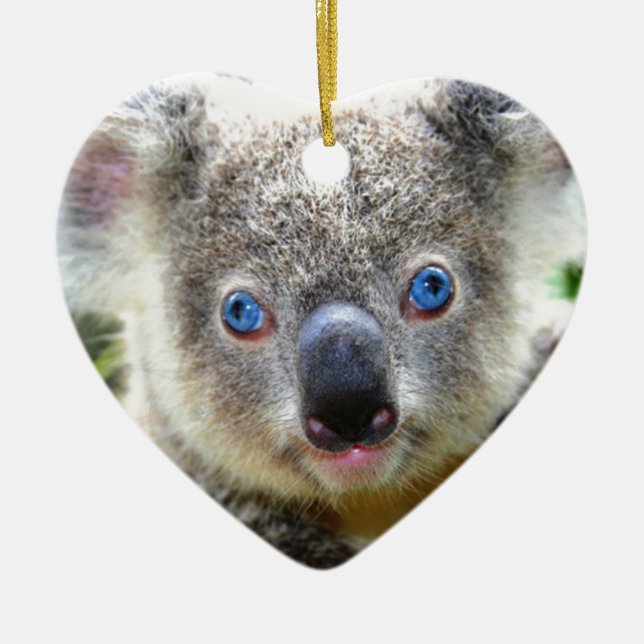 Koala Bears Ceramic Tree Decoration (Front)
