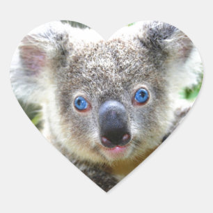 Koala Bears Heart Sticker