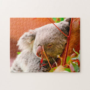 Koala Bears. Jigsaw Puzzle