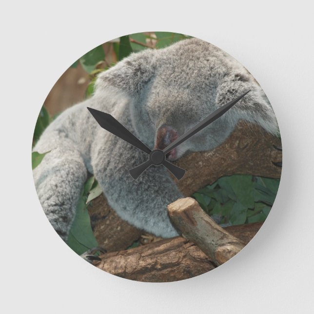 Koala Bears Love Animals Destiny Gifts Round Clock (Front)