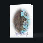 Koala Birthday Card<br><div class="desc">This Koala Bear visited me in my garden one afternoon. It posed beautifully for me to photograph it.</div>