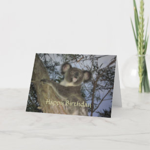 Koala Birthday Card