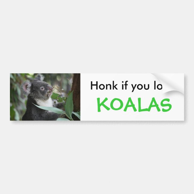 Koala Bumper Sticker (Front)