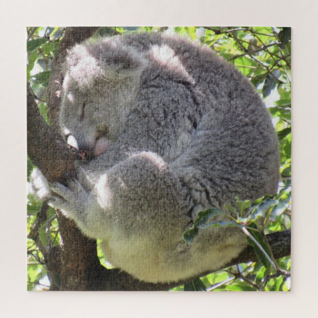 koala bundle jigsaw puzzle (Vertical)
