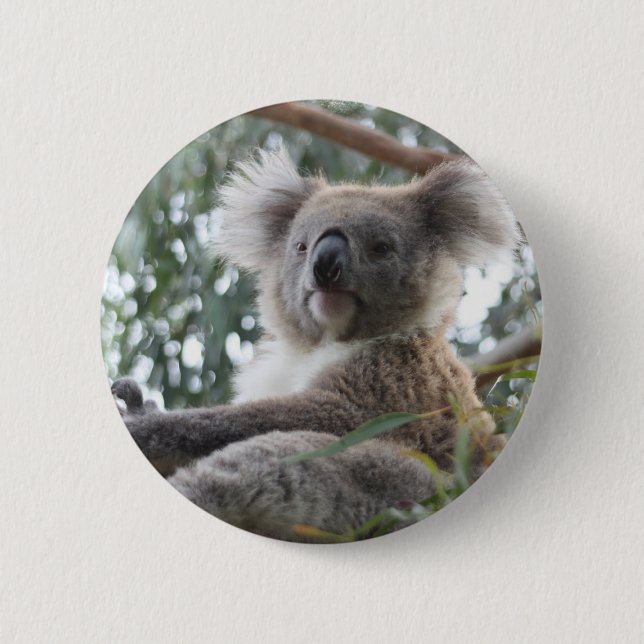 Koala Button (Front)