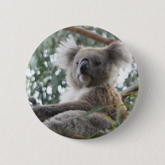 Koala Button