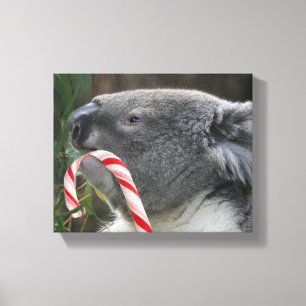 Koala Christmas Candy Cane Canvas Print