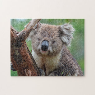 Koala Close Up, Jigsaw Puzzle