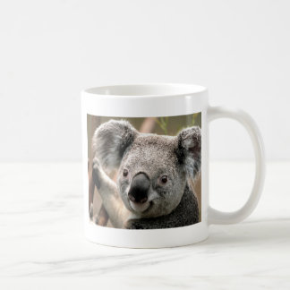 Koala Coffee Mug
