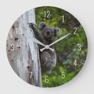Koala Cute Animal in a Tree Australia Large Clock