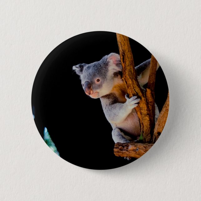 Koala Cute in Tree Gray 6 Cm Round Badge (Front)