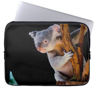 Koala Cute in Tree Gray Laptop Sleeve