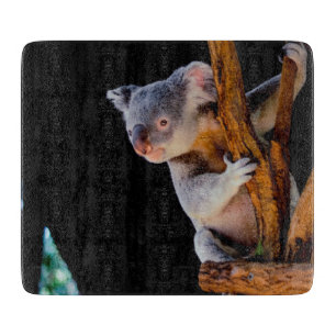 Koala Cute in Tree Grey Cutting Board